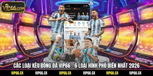 Các Loại Kèo Bóng Đá Vip66 - 6 Loại Hình Phổ Biến Nhất 2026