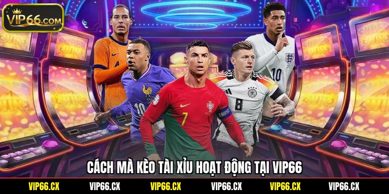 Cách mà kèo tài xỉu hoạt động tại Vip66