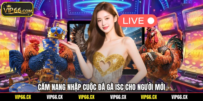 Cẩm nang nhập cuộc đá gà ISC cho người mới